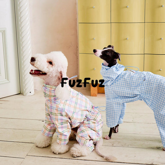 Two dogs in the plaid windbreaker coats, front view