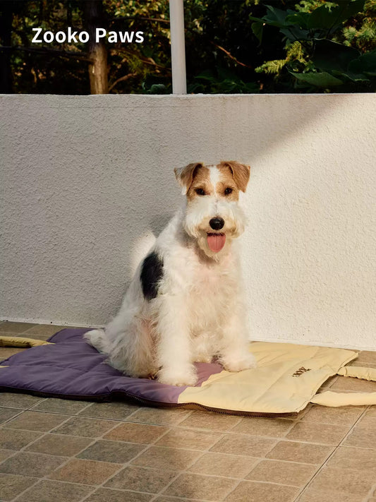 Water-Repellent Pet Travel Mat Bag photo 1