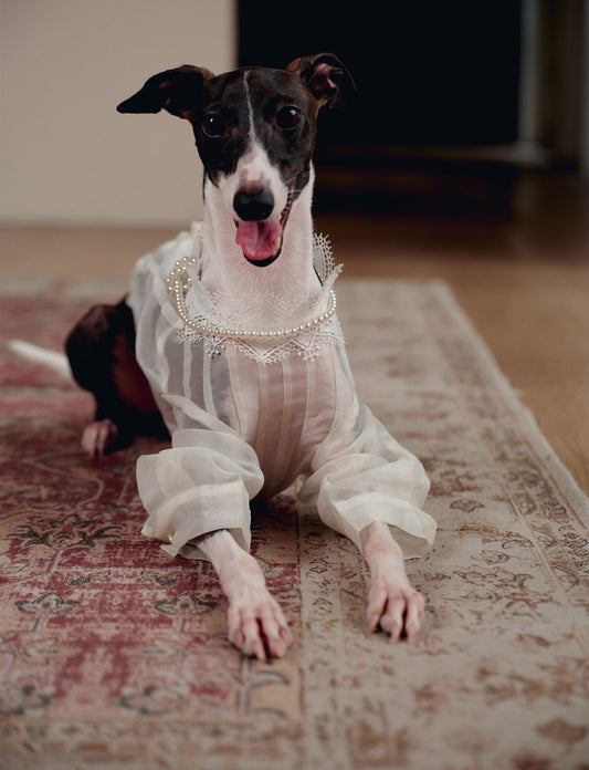 Silk Dog Resort Shirt