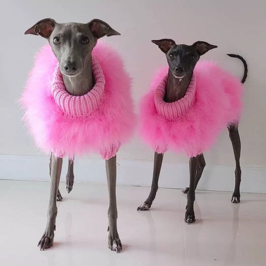 Luxury Feather Knit Sweater for Italian Greyhound & Whippet