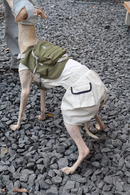 Utility Jumpsuit Dog Romper