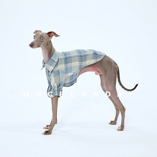 ONCELANDAY Fall Plaid Quote Shirt for Whippets