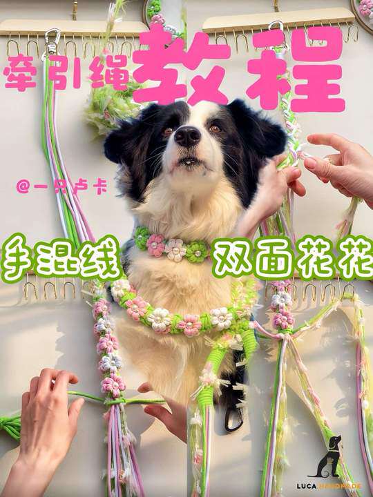 Handmade Cotton Rope Dog Leash