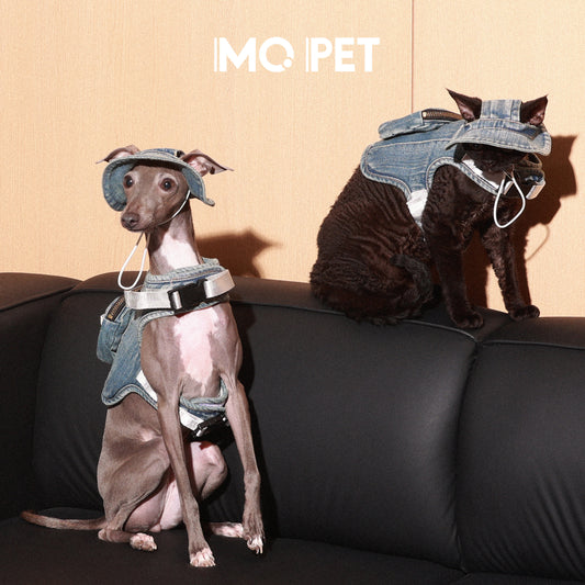 MQPET Washed Denim Adjustable Harness & Hat Set