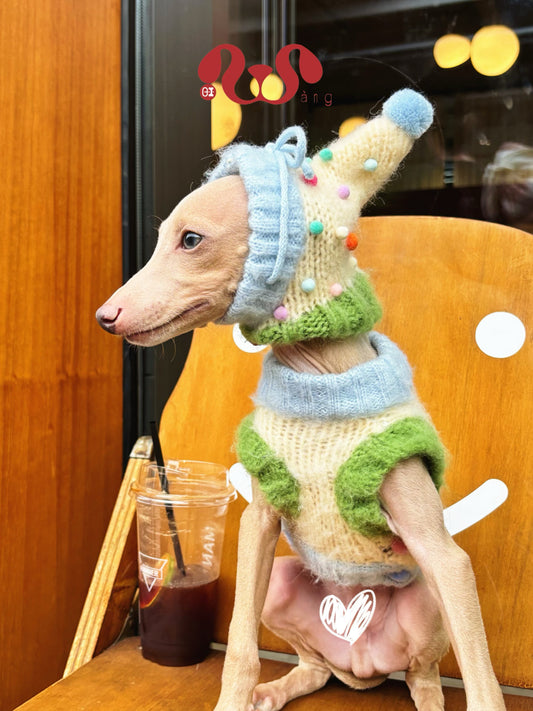 Wool Dog Vest & Pom Pom Hat