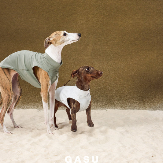 UPF1000+ Cooling Dog Sun Vest