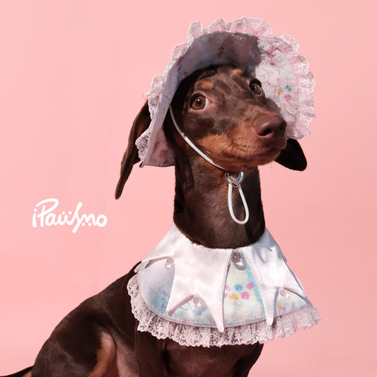 Lace Dog Bandana & Bucket Hat