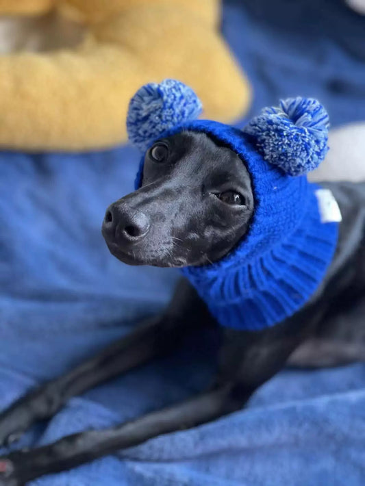 Hand-Knit Yarn Dog Hat for Italian Greyhound Whippet