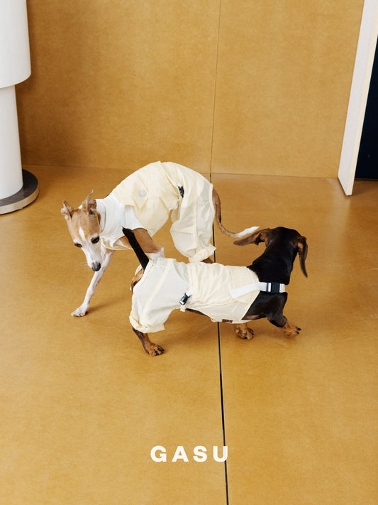 Lightweight Convertible Dog Overalls