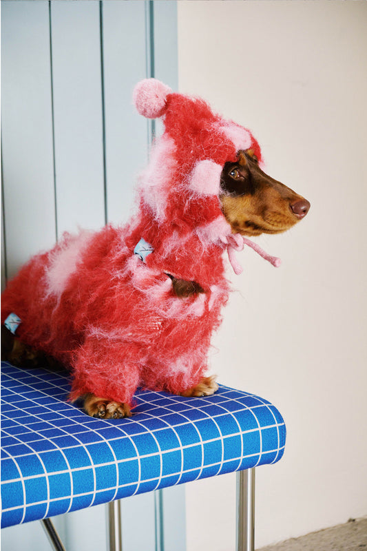 Alpaca Dot Pet Sweater