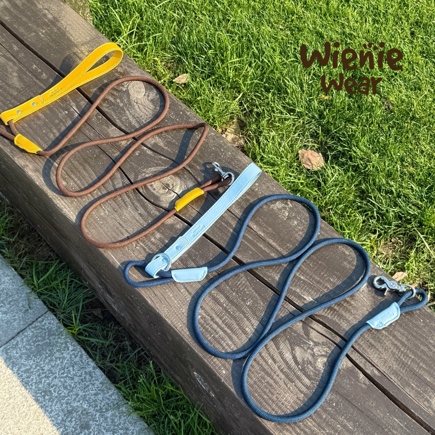 Color Block Lightweight Dog Leash