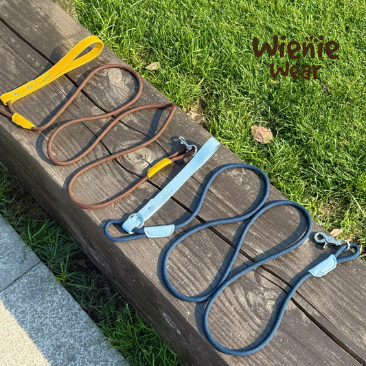 Color Block Lightweight Dog Leash