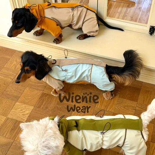 3-in-1 Dog Rain Jacket