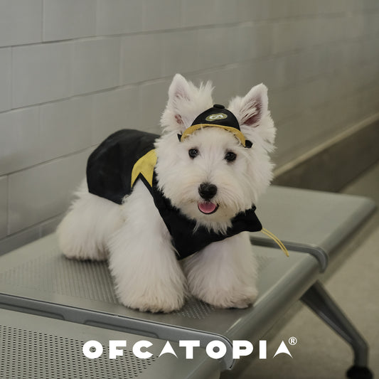 OfCATOPIA Yellow-Black Lightweight Sun Jacket