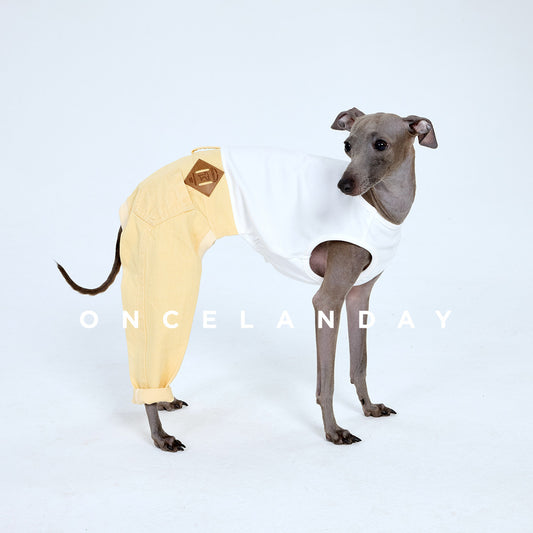 ONCELANDAY Fall Patchwork Washed Jeans for Whippets