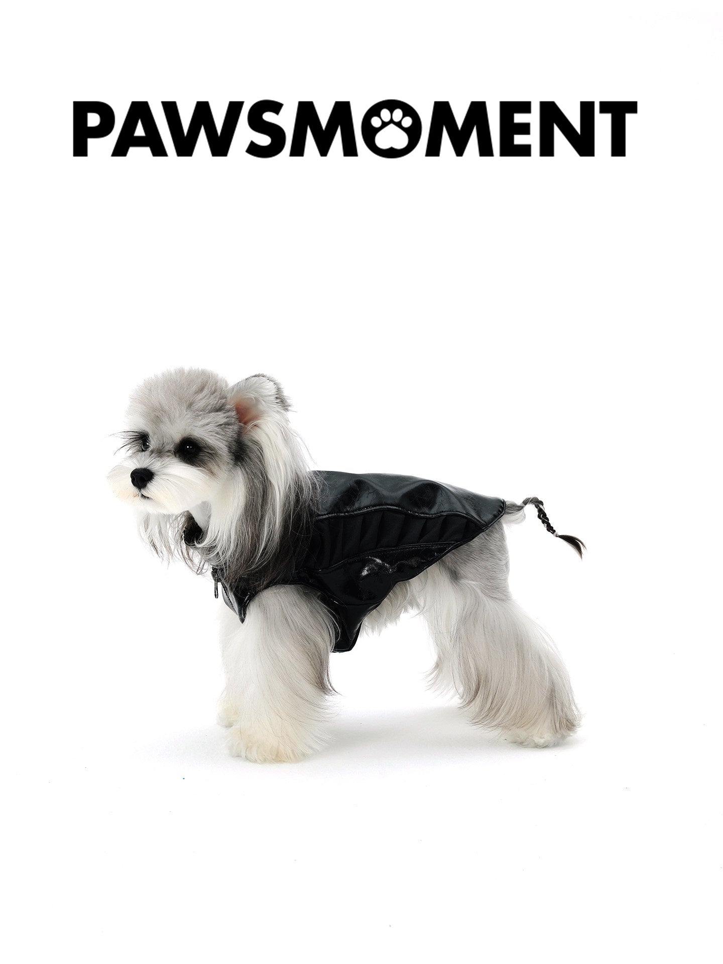 Small Dog Biker Style Leather Jacket