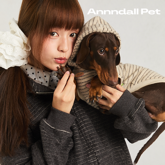 andall Matching Dog Sweatshirt