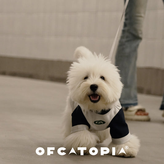 OfCATOPIA Silver-Green Retro Mesh Pet Tee