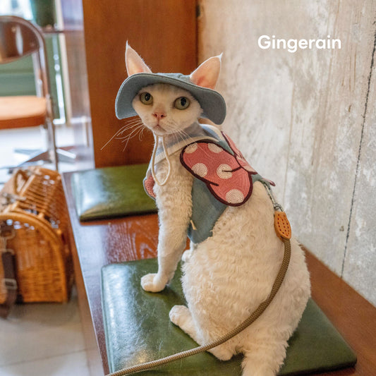 GINGERAIN Sailor Moon Denim Harness with Leash