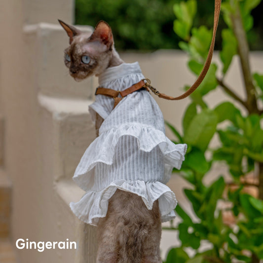 GINGERAIN French Ruffle Shirt Dress for Cats