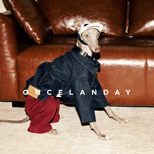 ONCELANDAY Fall Suede Denim Jacket for Whippets