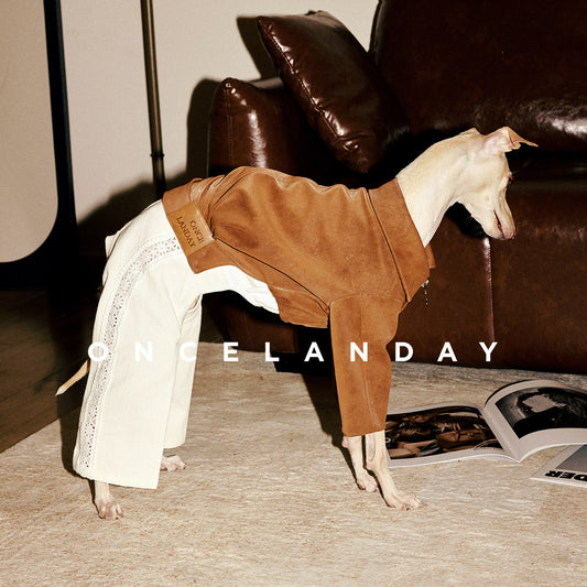 ONCELANDAY Fall Lace Patchwork Jumpsuit for Whippets