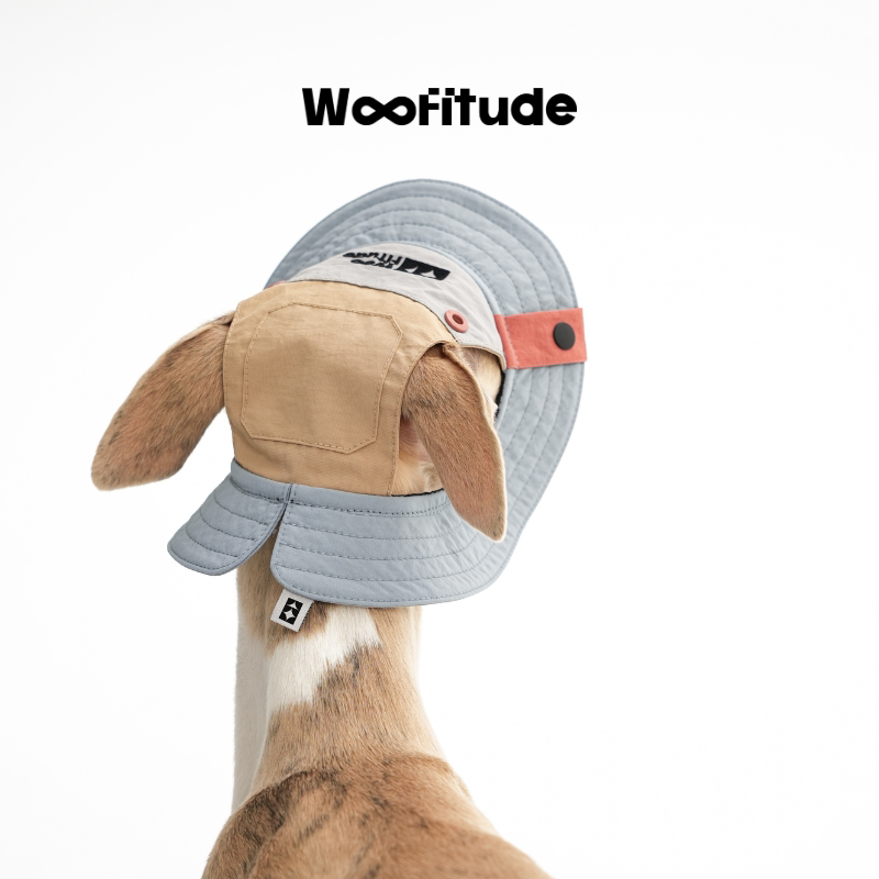 Nylon Dog Bucket Hat