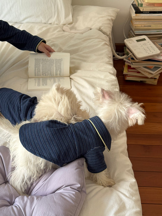POXFFEE Matching Stripe Pajamas for Owners / Pets