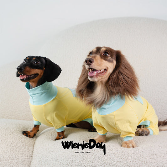 Wienieday Ice-Cool Four-Leg Sunsuit for Dachshunds