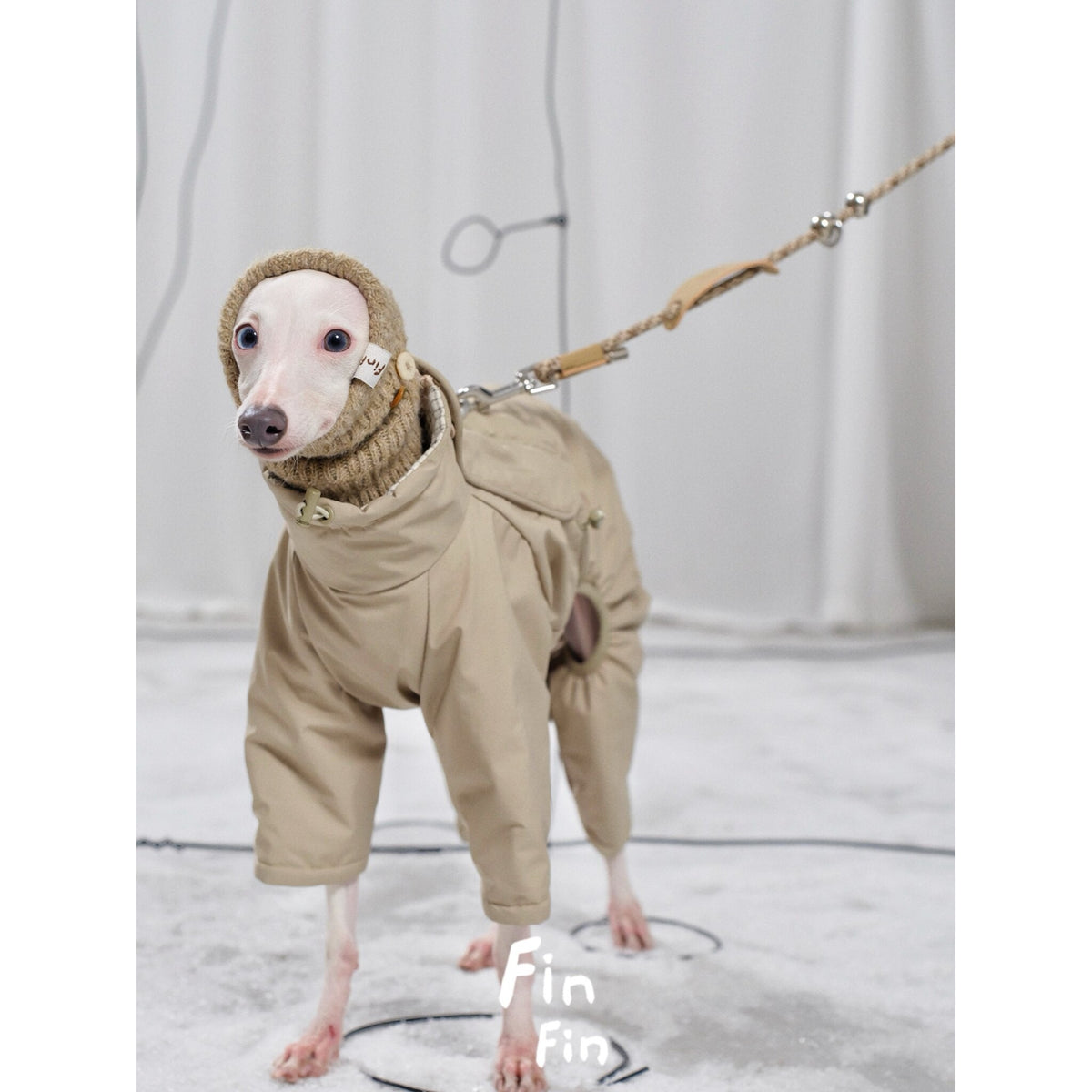 Braided Rope Dog Leash photo 8