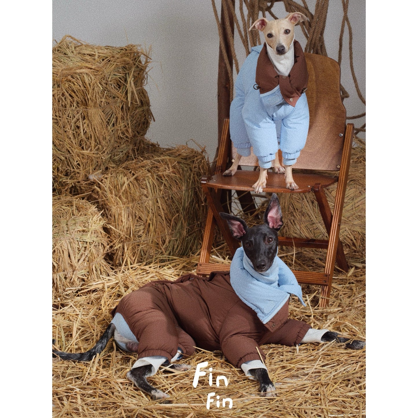 FinFin Reversible Pet Down Jacket
