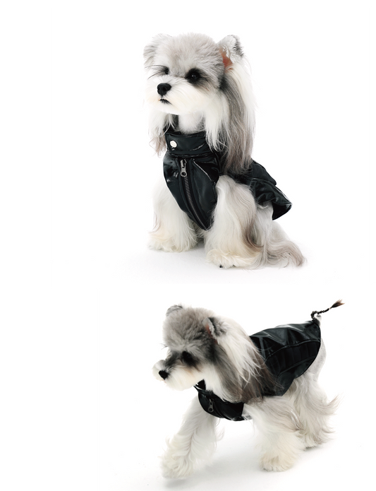 Small Dog Biker Style Leather Jacket