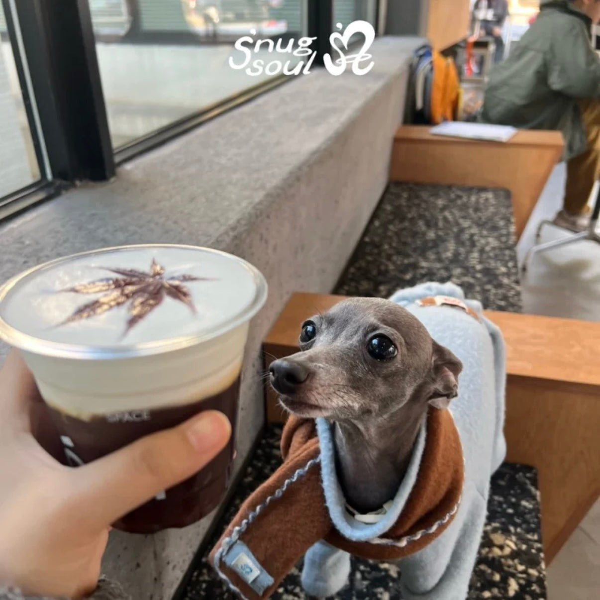 Snuggsoul Anti-Static Bubble-Butt Pet Romper