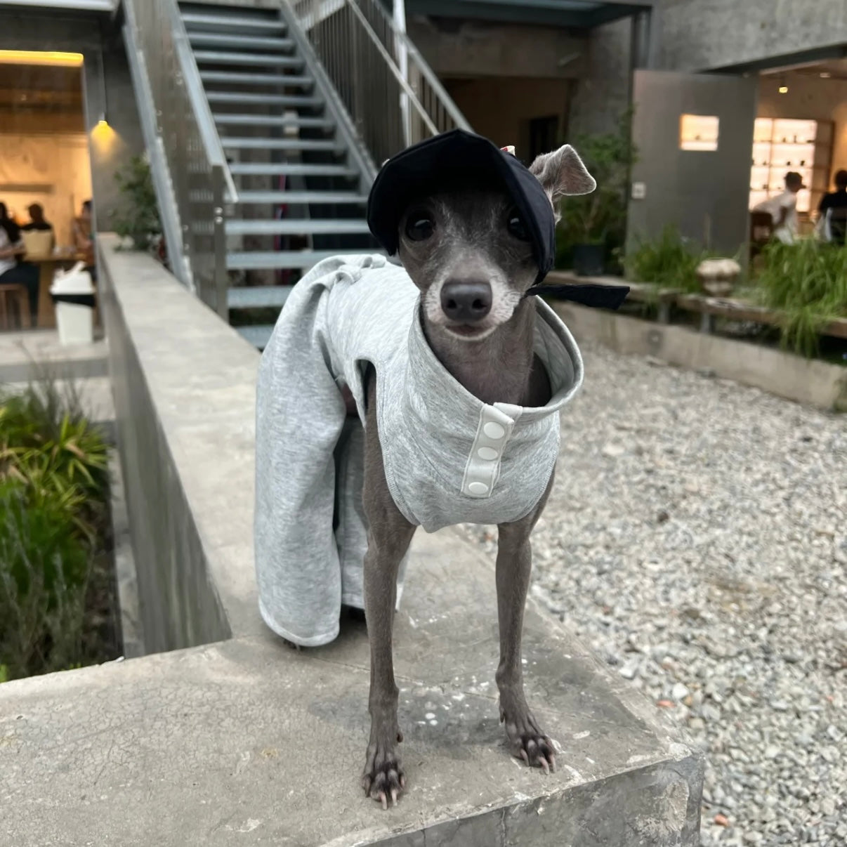 Snuggsoul Flared Bubble Pet Pants