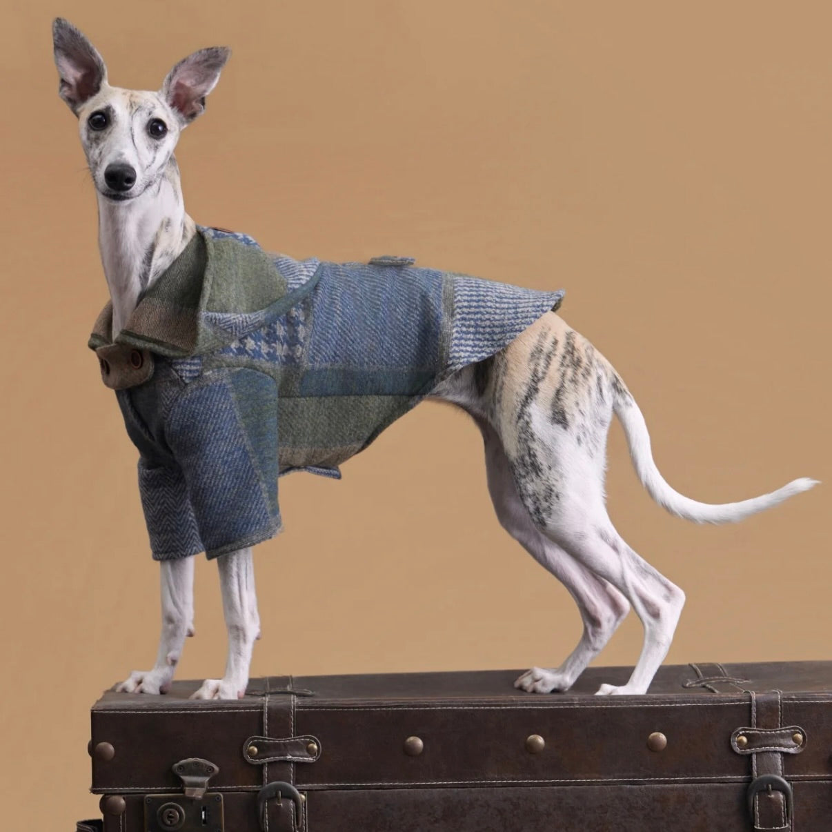 Meow BuBu Winter Pet Coat or Shawl