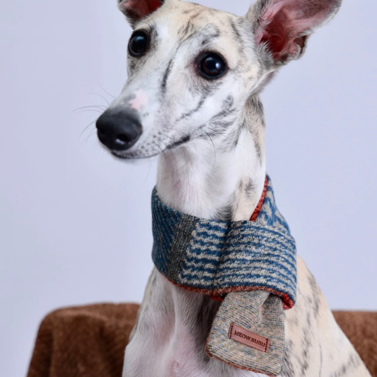 Meow BuBu Pet / Owner Wool Blend Scarf