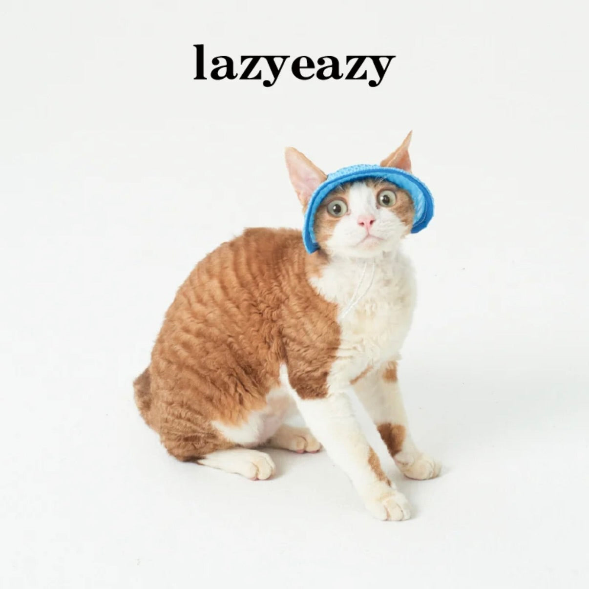 LAZY EAZY Pet Mesh Bucket Hat