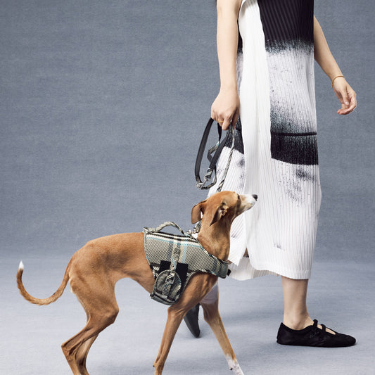 GASU Variété Italian Fabric Adjustable Dog Harness
