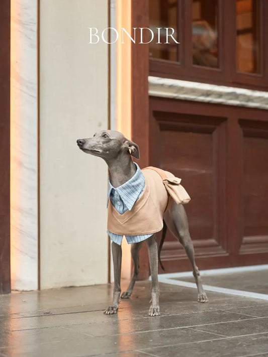 BONDIR Two-Piece Look Pet Trench Coat