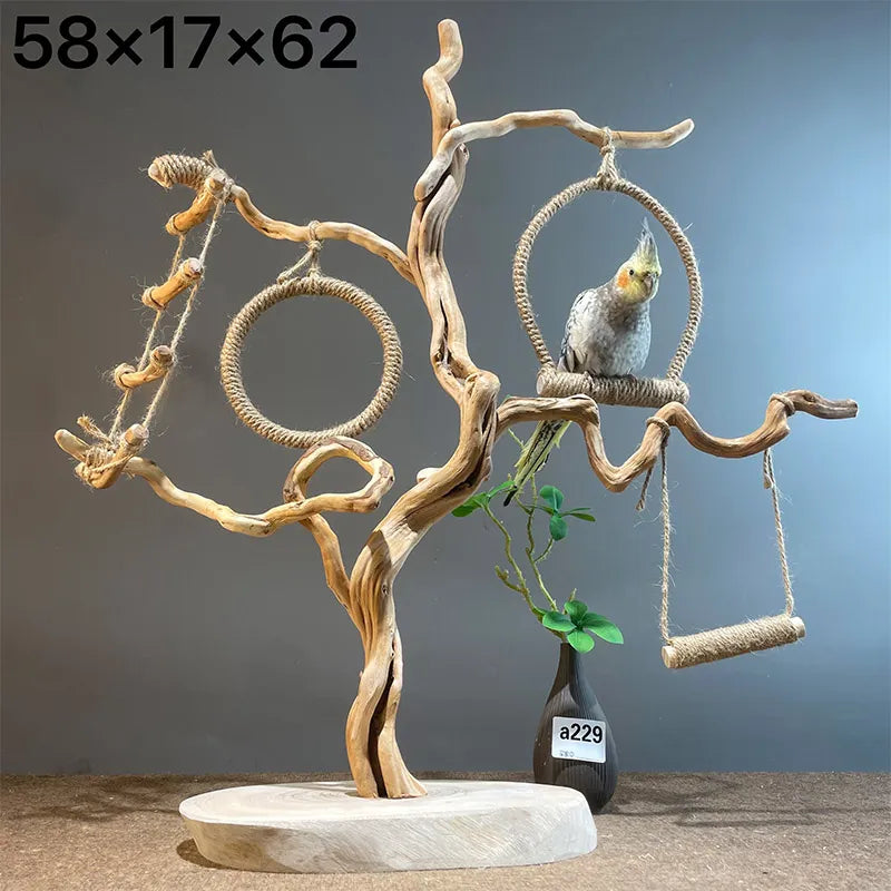 Wild Fun Bird Play Gym & Activity Center