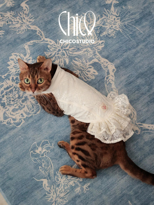 Retro Plaid Lace Dress for Whippets