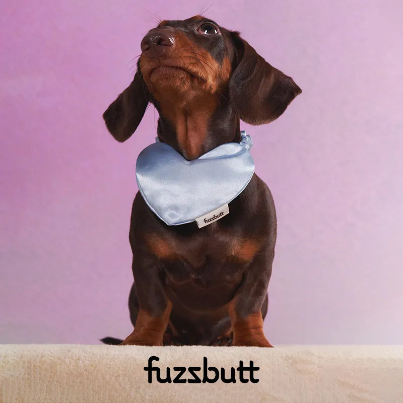 Fuzzbutt Satin Heart-Shaped Padded Bib