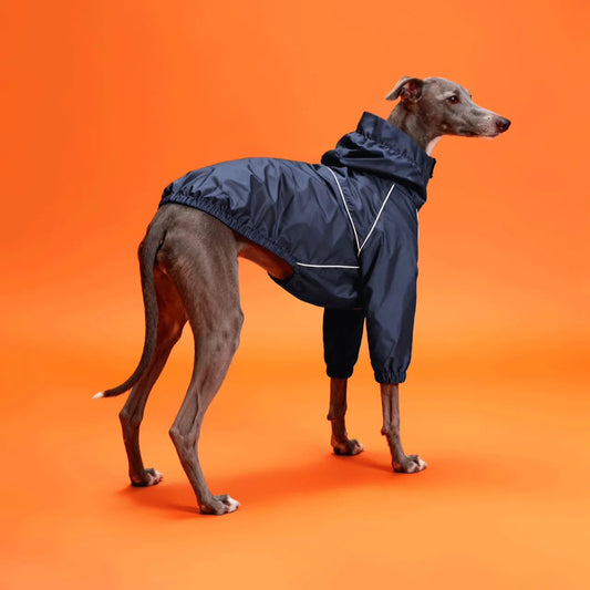 Small Dog Warm Double-Layer Jacket