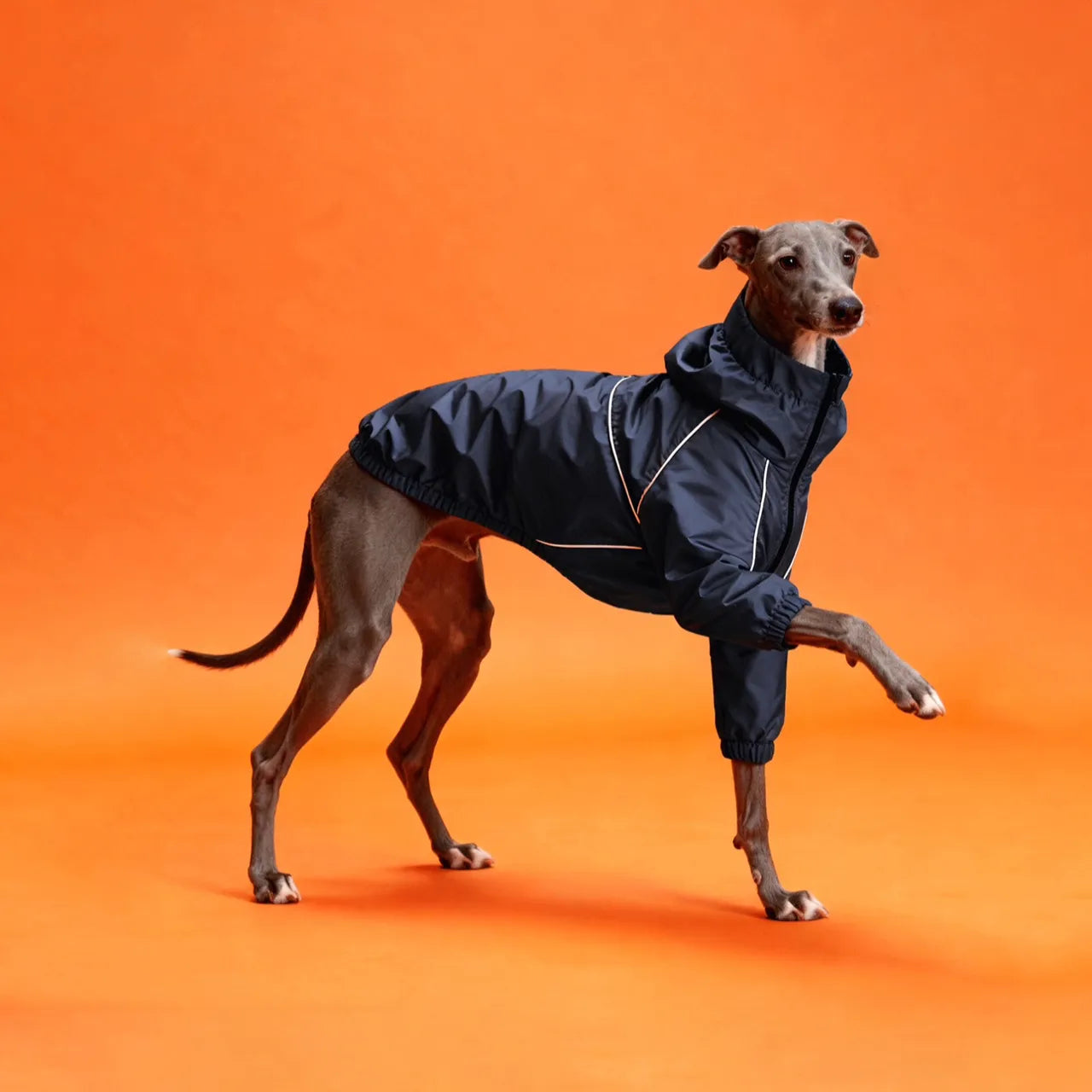 Small Dog Warm Double-Layer Jacket