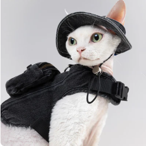 Cat Breeds
