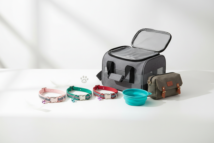 Cat Collars & Travel