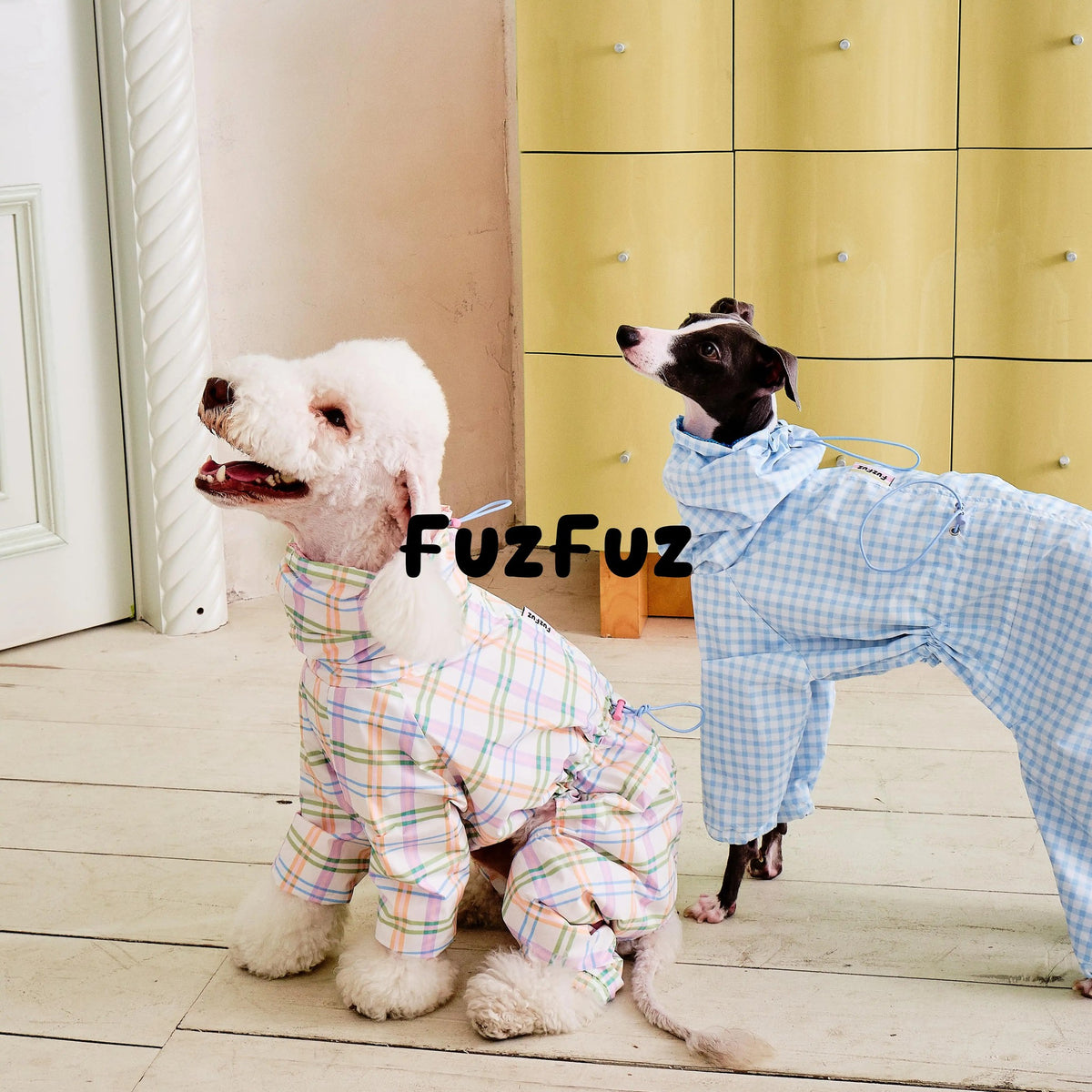 Two dogs in the plaid windbreaker coats, front view