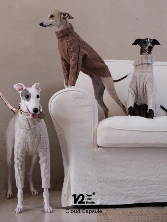 Three whippets in cable knit sweaters on a sofa