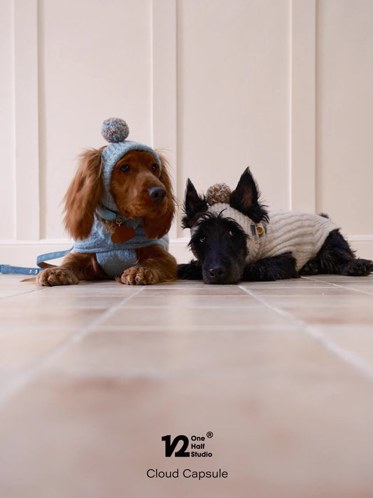 Two dogs wearing knit pom hats on a sofa
