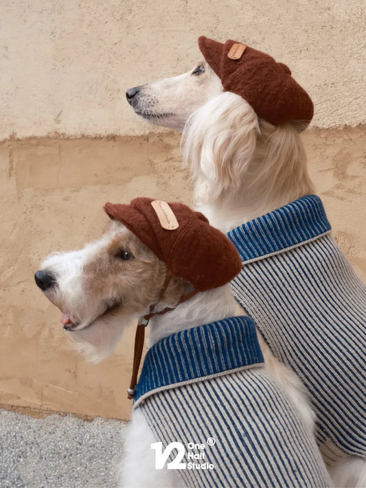Dog in a brown merino wool newsboy cap